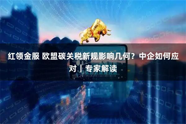 红领金服 欧盟碳关税新规影响几何？中企如何应对｜专家解读