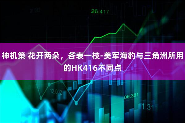神机策 花开两朵，各表一枝-美军海豹与三角洲所用的HK416不同点