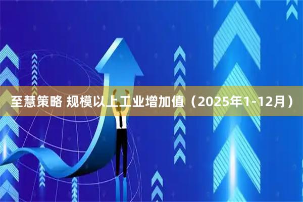 至慧策略 规模以上工业增加值（2025年1-12月）