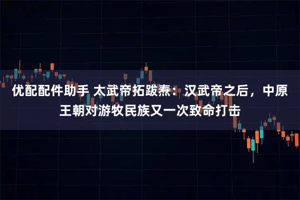 优配配件助手 太武帝拓跋焘：汉武帝之后，中原王朝对游牧民族又一次致命打击