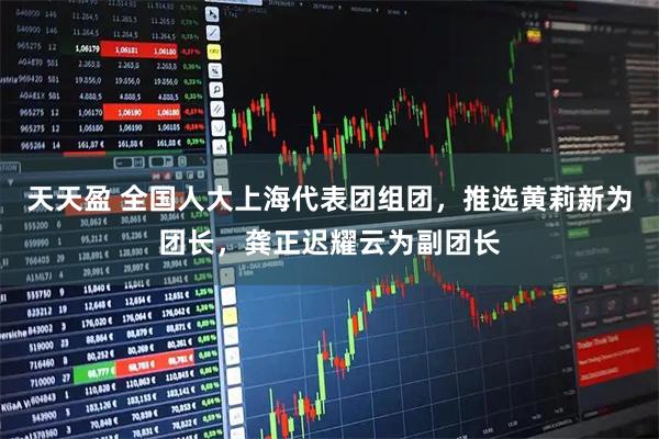 天天盈 全国人大上海代表团组团，推选黄莉新为团长，龚正迟耀云为副团长