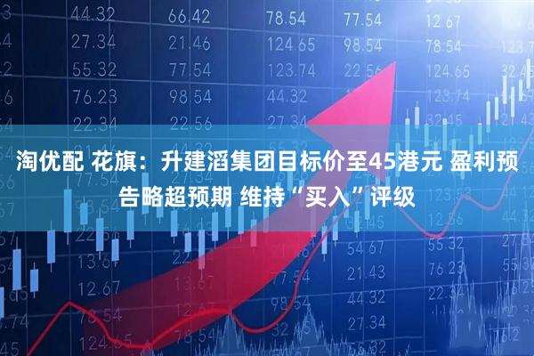 淘优配 花旗：升建滔集团目标价至45港元 盈利预告略超预期 维持“买入”评级