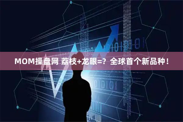 MOM操盘网 荔枝+龙眼=？全球首个新品种！